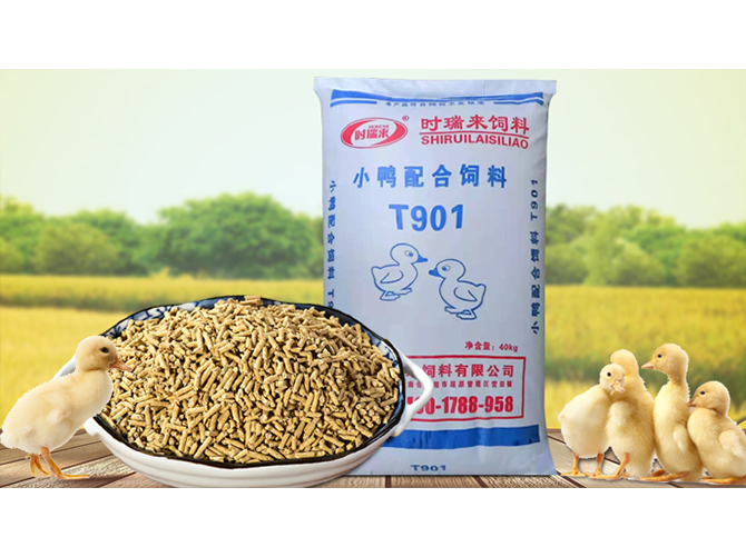 小鸭配合饲料T901