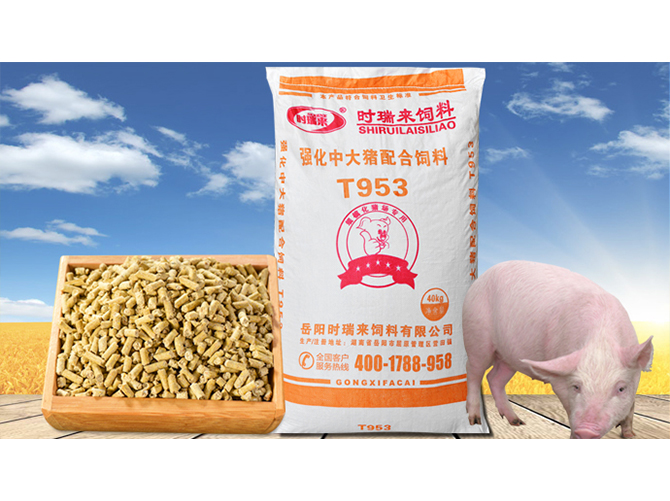强化中大猪配合饲料T953