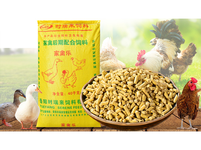 家禽后期配合饲料 家禽乐