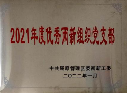 2021年度优秀两新组织党支部