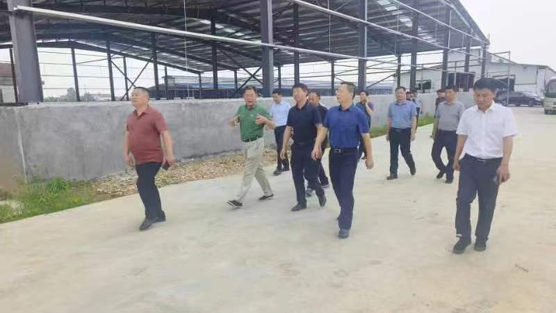 6月3日，岳阳市副市长陈阁辉一行来岳阳金浪智慧农牧有限公司调研视察滨湖水牛保种场工作！