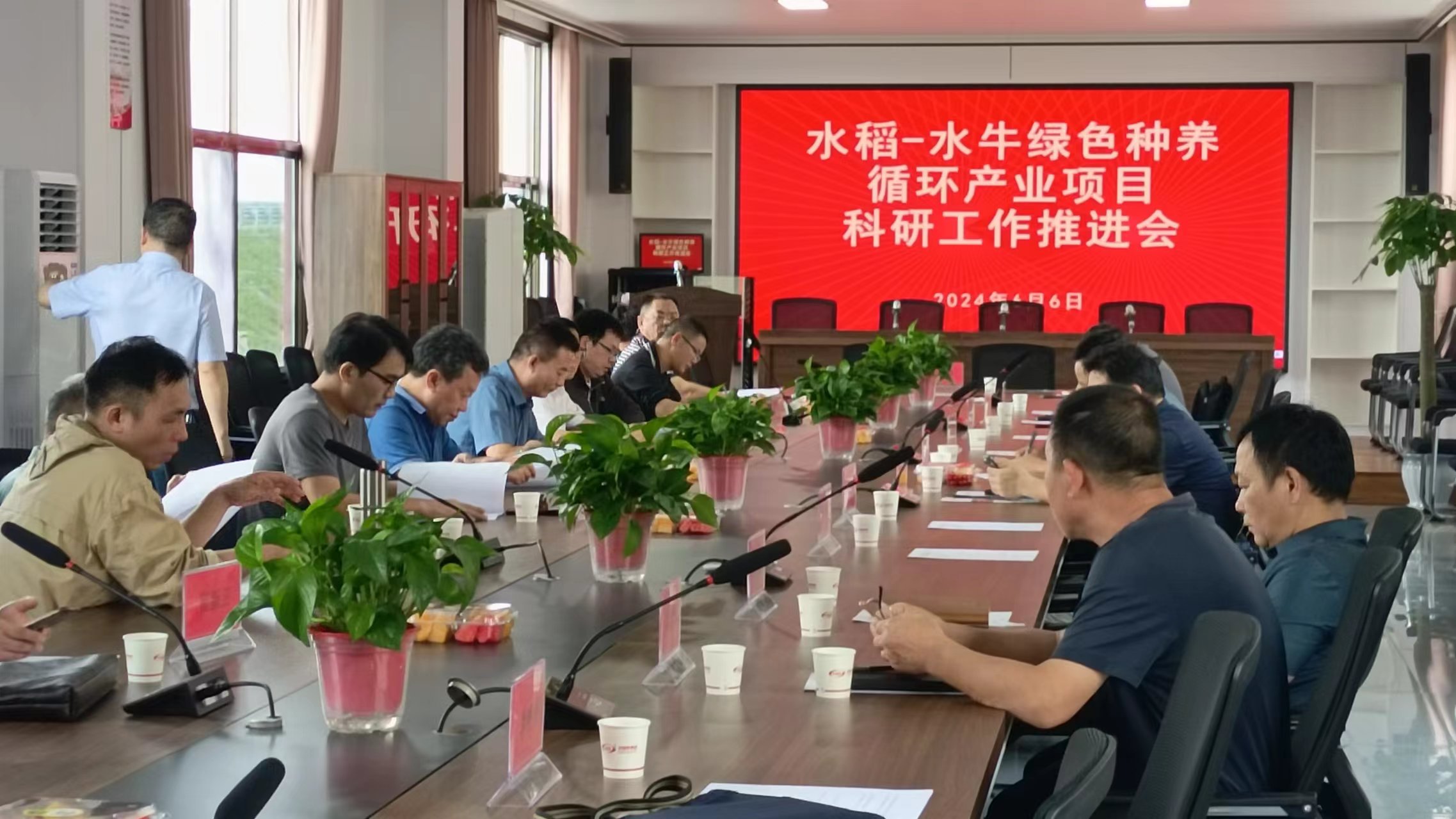 水稻一一水牛绿色种养循环产业项目科研推进，助力公司在现代农业方面高质量发展！