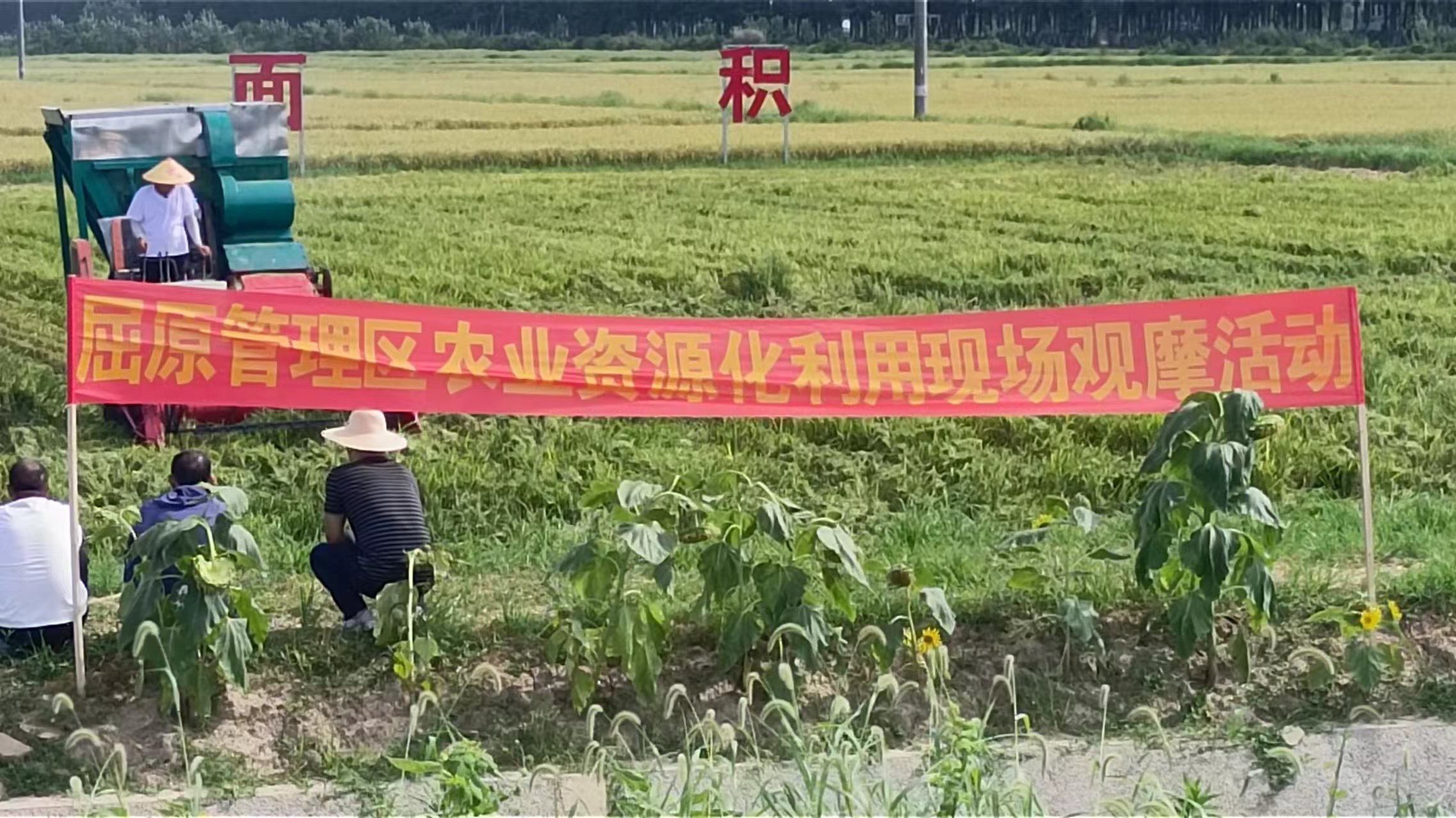 7月17日屈原管理区农业资源化利用观摩现场会在金浪公司基地举办