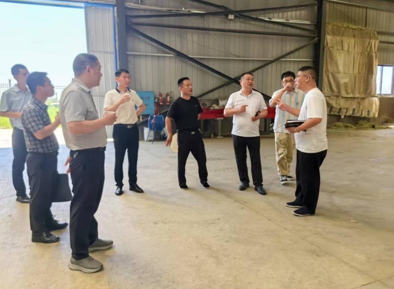 临湘市李开龙副市长一行来我公司考察学习秸秆综合利用工作