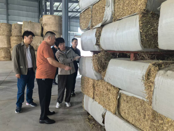 岳阳市政协人资环委赴时瑞来公司调研农作物秸秆综合利用与禁烧管控工作