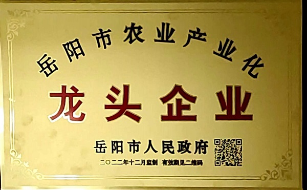龙头企业