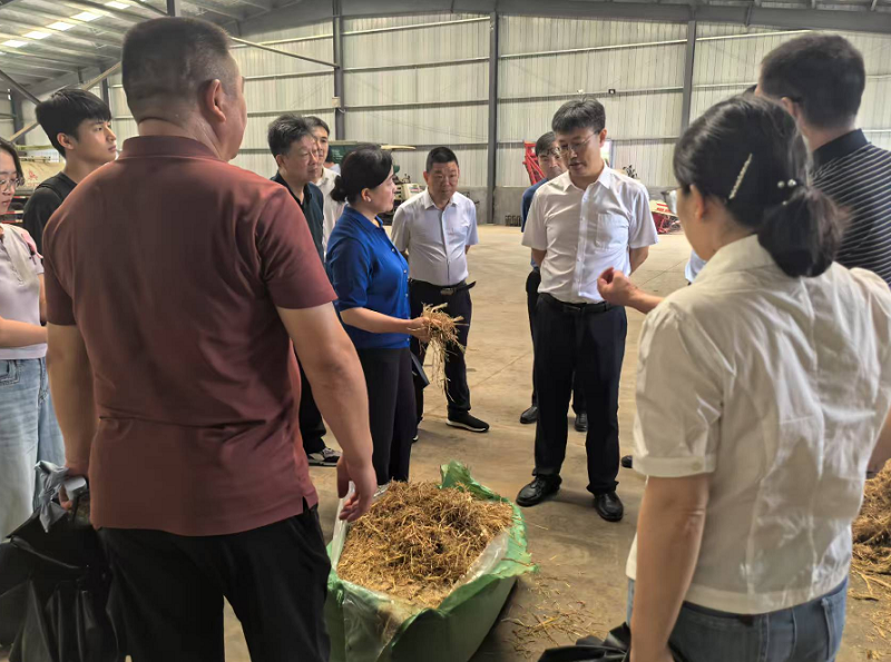 滨湖水牛良种场现场调研