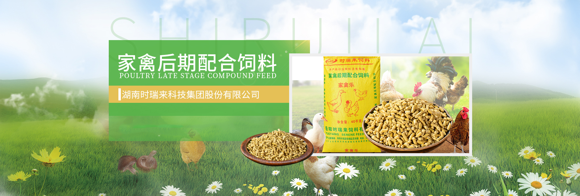 首页banner2