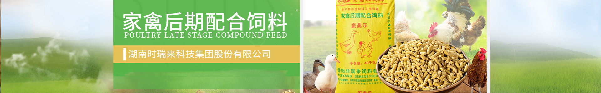 内页banner2  