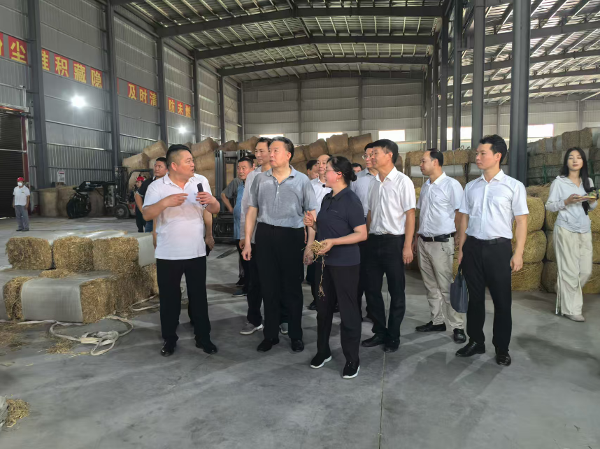 毛万春在岳阳调研