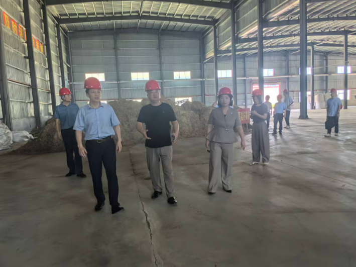 市人大常委会副主任廖星辉督导调研湖南三道生物科技有限公司安全生产和秸秆禁限烧工作，谢辉解说